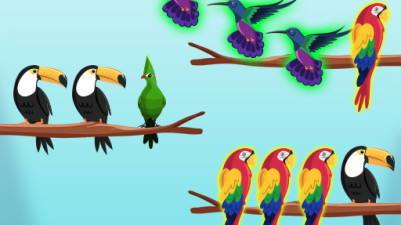 Bird Sort Challenges